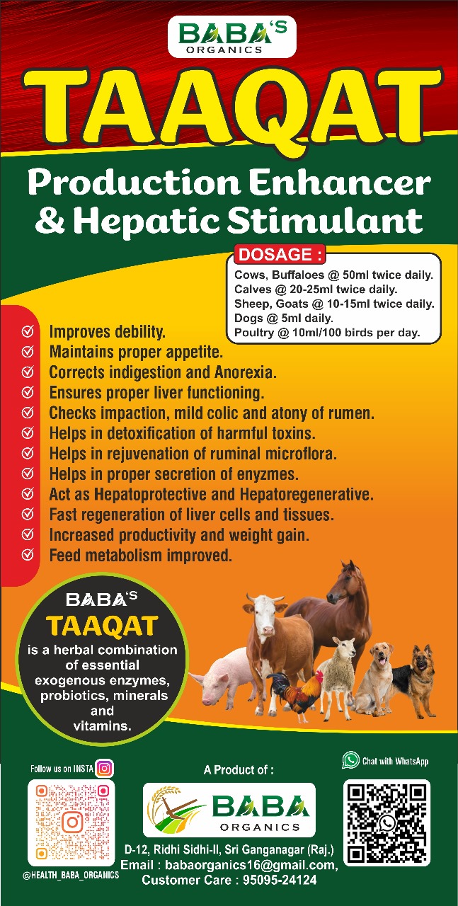 Baba Taaqat